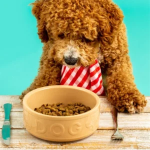 Bol cerámico para perros y mascotas Mason Cash