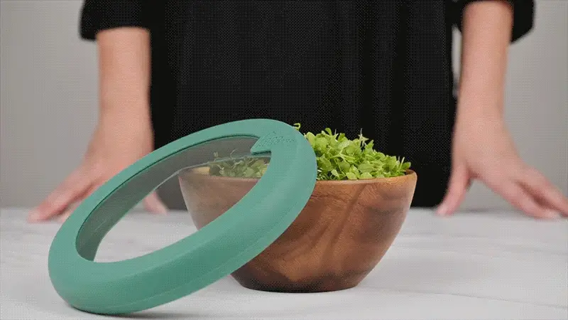 Set de 3 tapas de cristal y silicona Food Huggers - Imagen 9