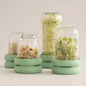 Set de 2 tapas de silicona para germinar semillas Food Huggers