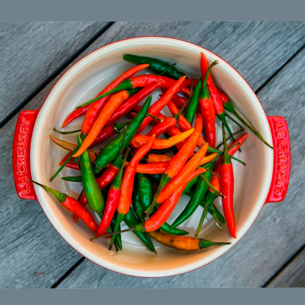 Cazuelita tipo plato para tapas Le Creuset - Imagen 3