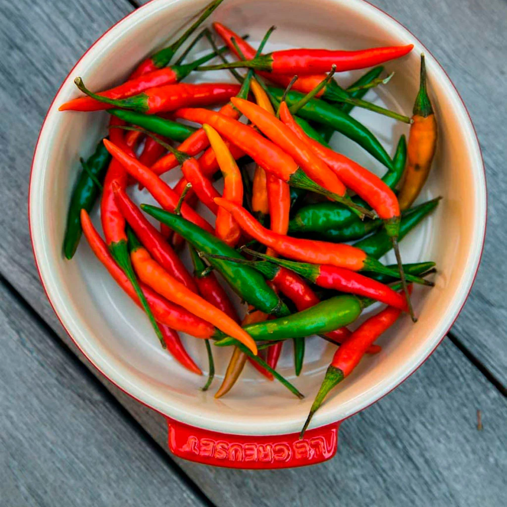 Cazuelita tipo plato para tapas Le Creuset - Imagen 6